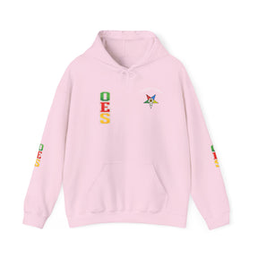 OES Hoodie - Colorful Eastern Star & Initials with Personalization - Bricks Masons