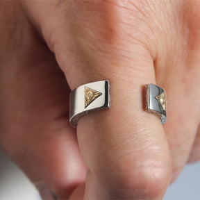 Eye Of Providence Ring - 925 Sterling Silver Novus Ordo Seclorum - Bricks Masons